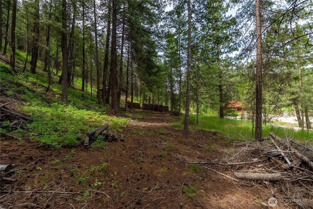 7 Howerton Road Twisp, WA 98856