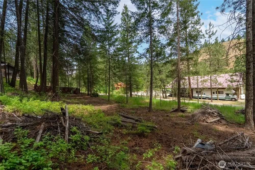 7 Howerton Road Twisp, WA 98856
