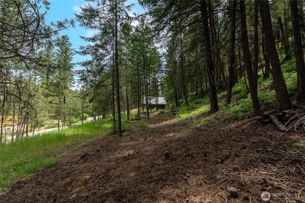 7 Howerton Road Twisp, WA 98856