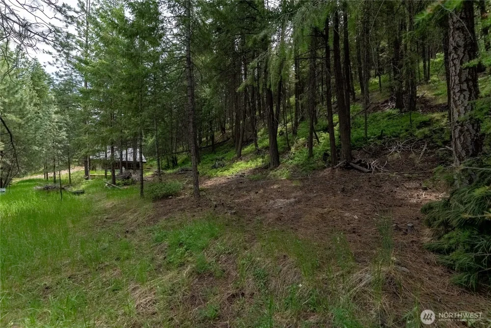 7 Howerton Road Twisp, WA 98856