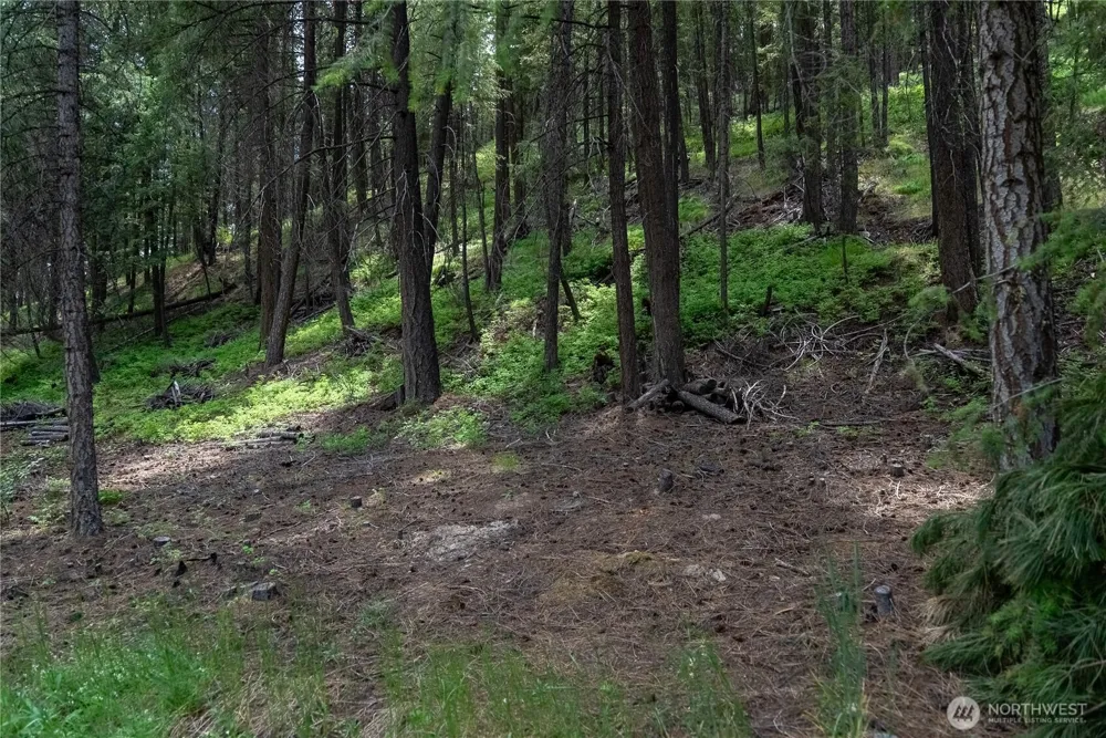 7 Howerton Road Twisp, WA 98856