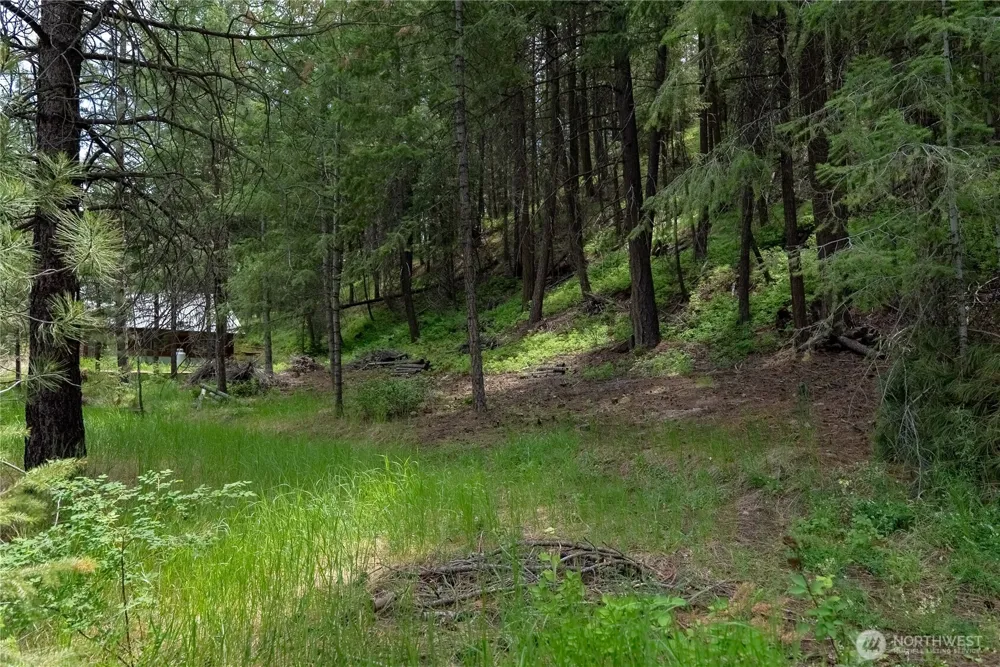 7 Howerton Road Twisp, WA 98856