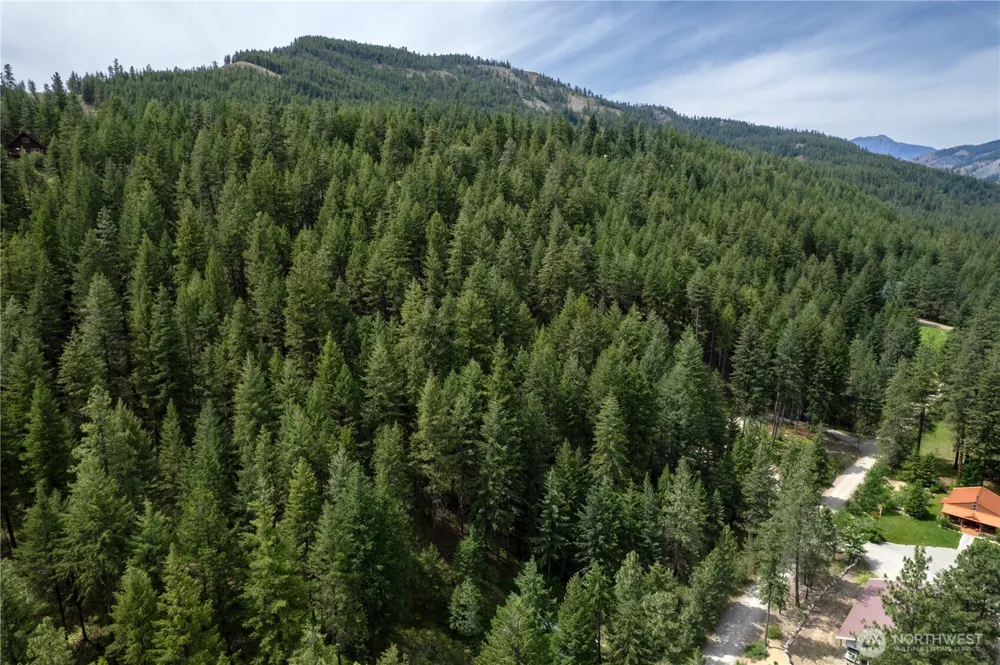 7 Howerton Road Twisp, WA 98856