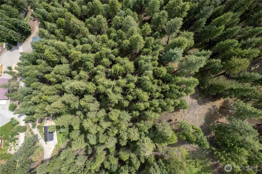 7 Howerton Road Twisp, WA 98856