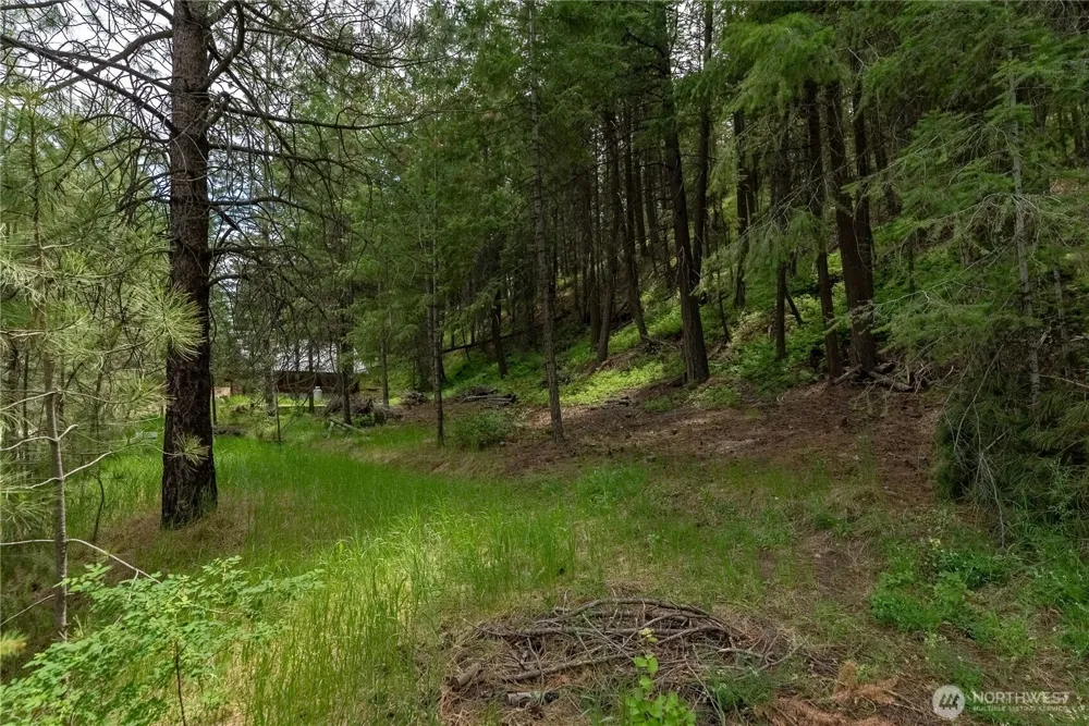7 Howerton Road Twisp, WA 98856