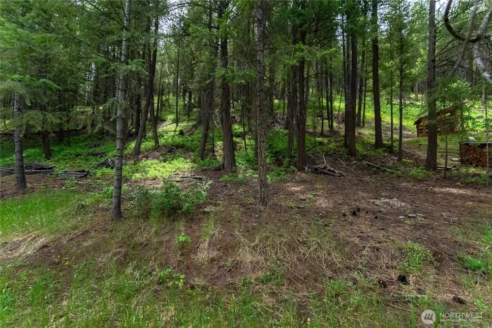 7 Howerton Road Twisp, WA 98856