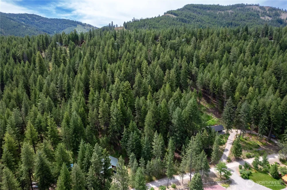 7 Howerton Road Twisp, WA 98856