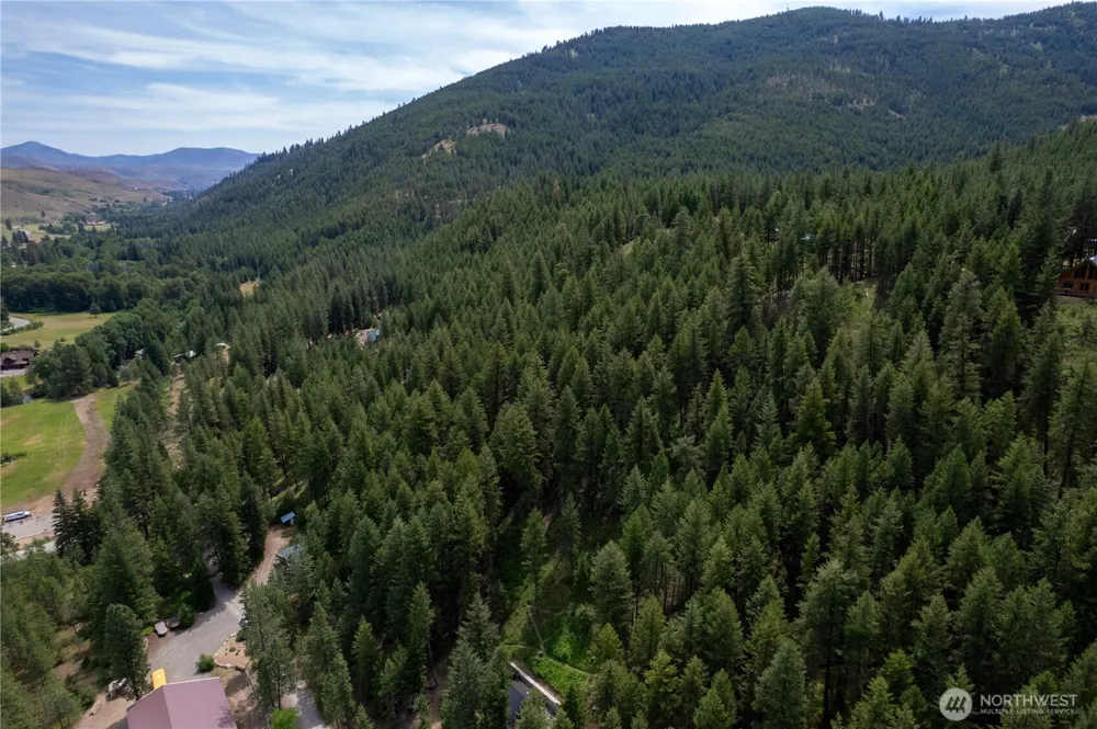 7 Howerton Road Twisp, WA 98856