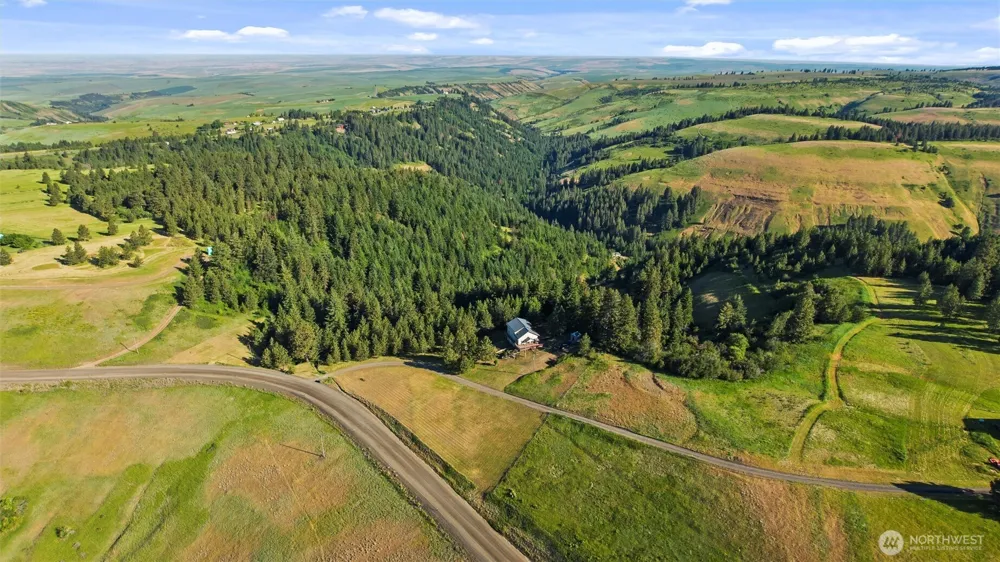 6379 Lewis Peak Road Waitsburg, WA 99361