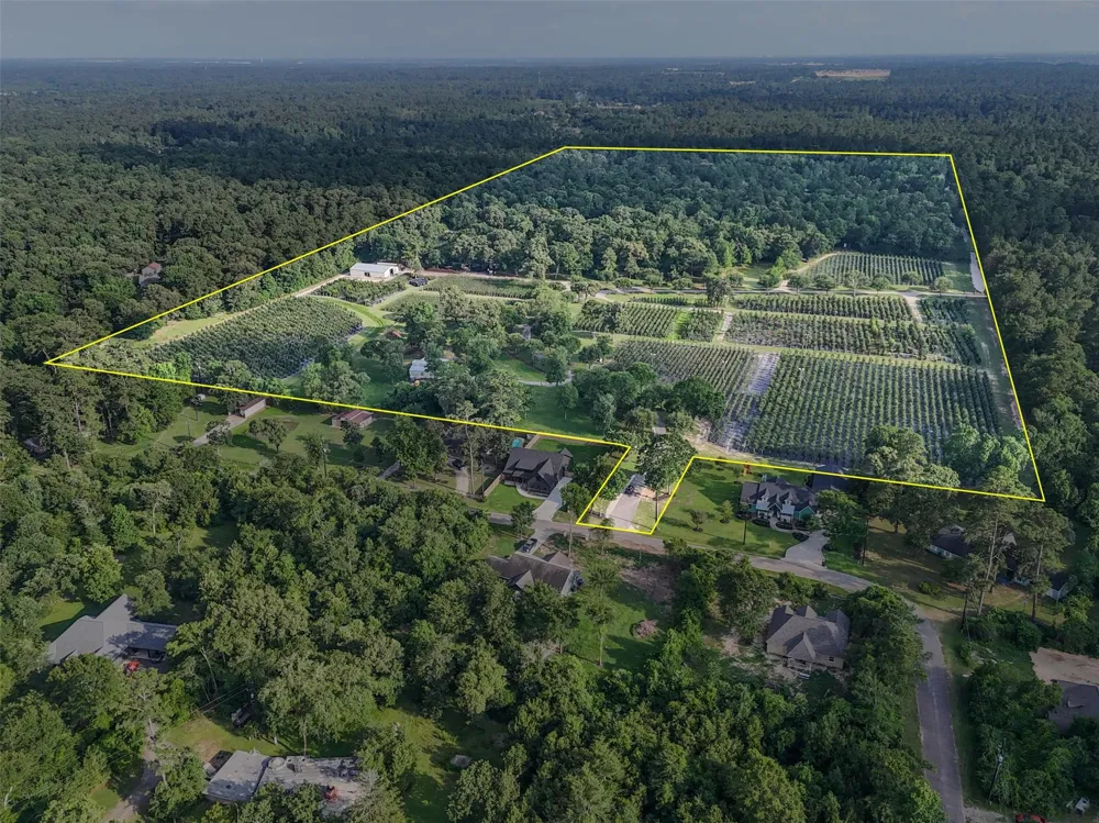 15629 Knotty Oaks Trail Magnolia, TX 77355