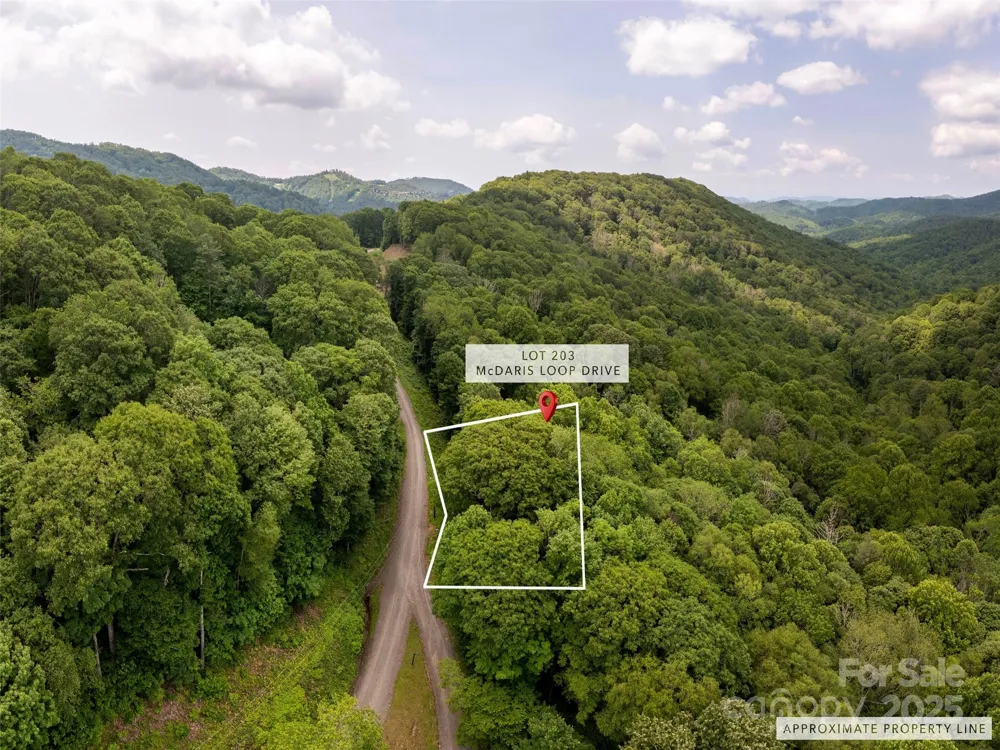 000 McDaris Loop Drive #203 Mars Hill, NC 28754