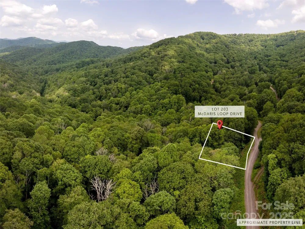 000 McDaris Loop Drive #203 Mars Hill, NC 28754