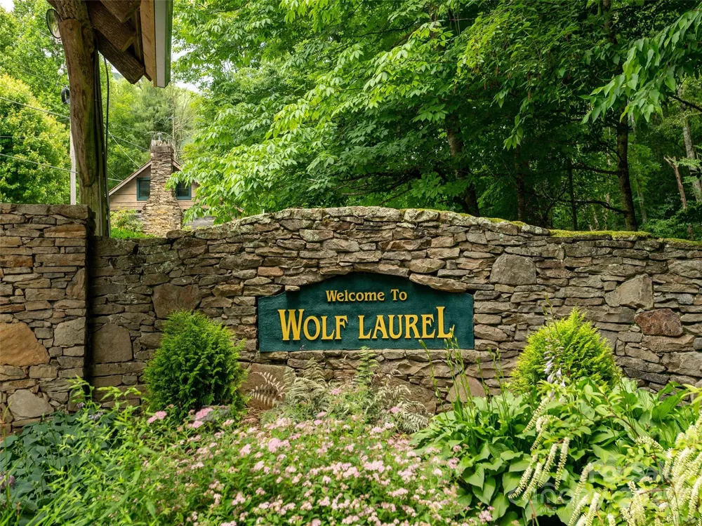 000 McDaris Loop Drive #203 Mars Hill, NC 28754