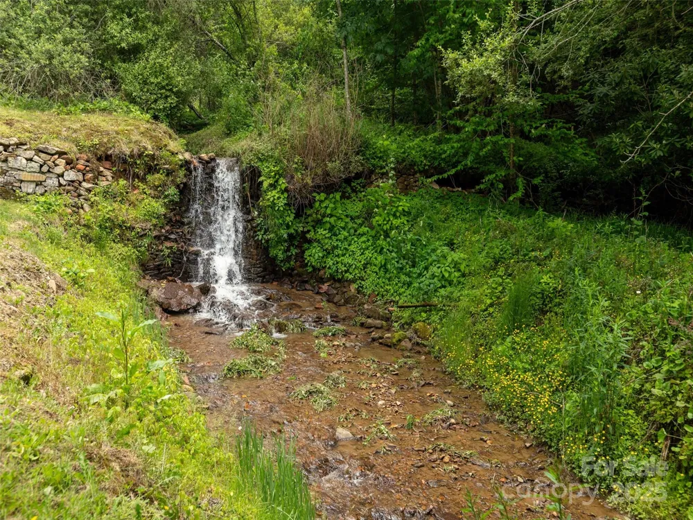 000 McDaris Loop Drive #203 Mars Hill, NC 28754