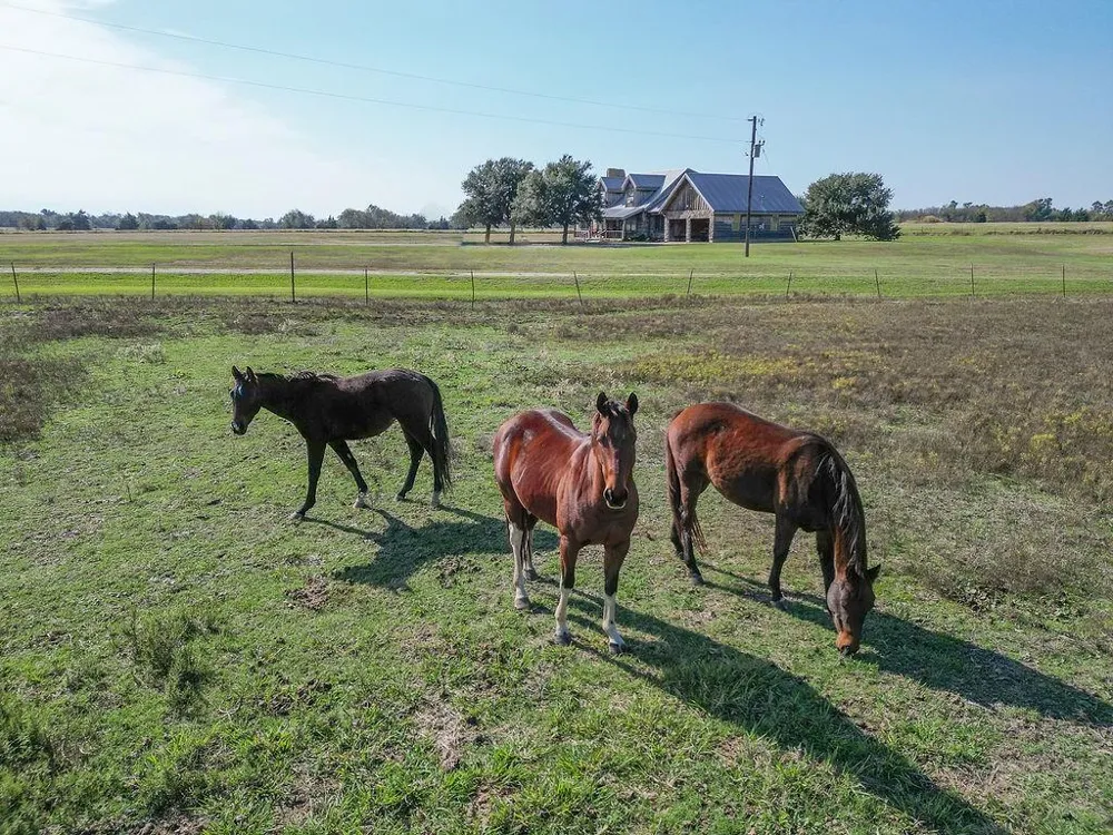 411 Rs County Road 4525 Point, TX 75472