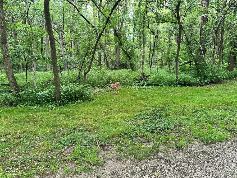 7811 County Road 500 E Pittsboro, IN 46167