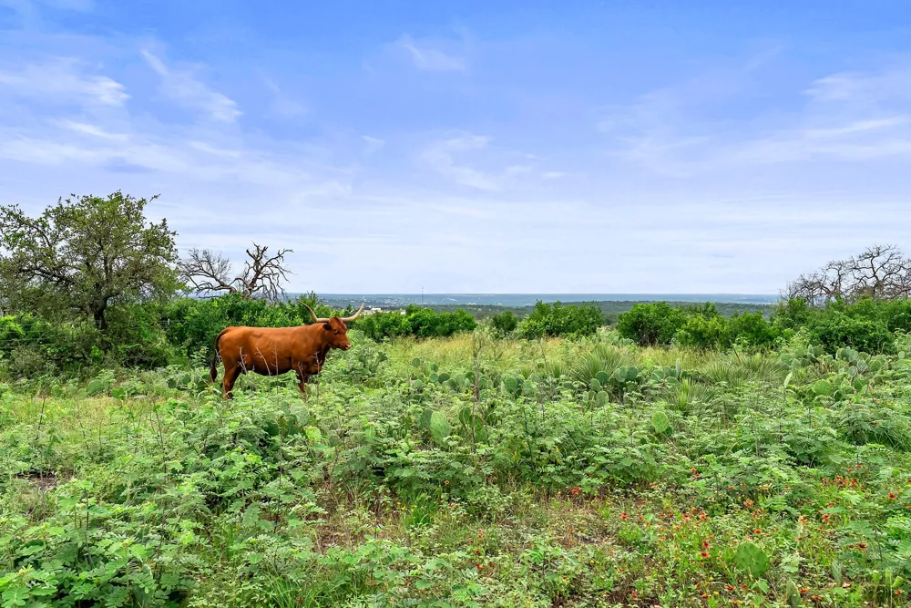 101 Starhorn Road Marble Falls, TX 78654