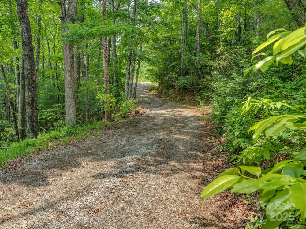 0000 Israel Road Brevard, NC 28712