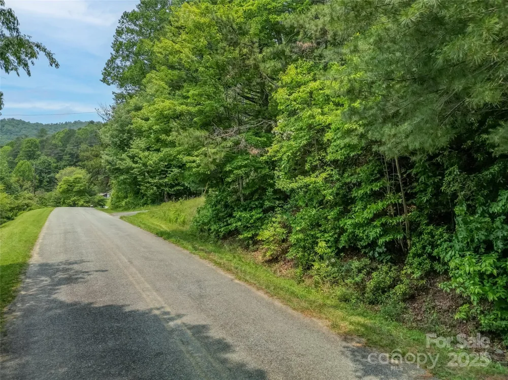 0000 Israel Road Brevard, NC 28712