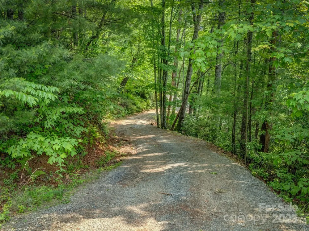 0000 Israel Road Brevard, NC 28712