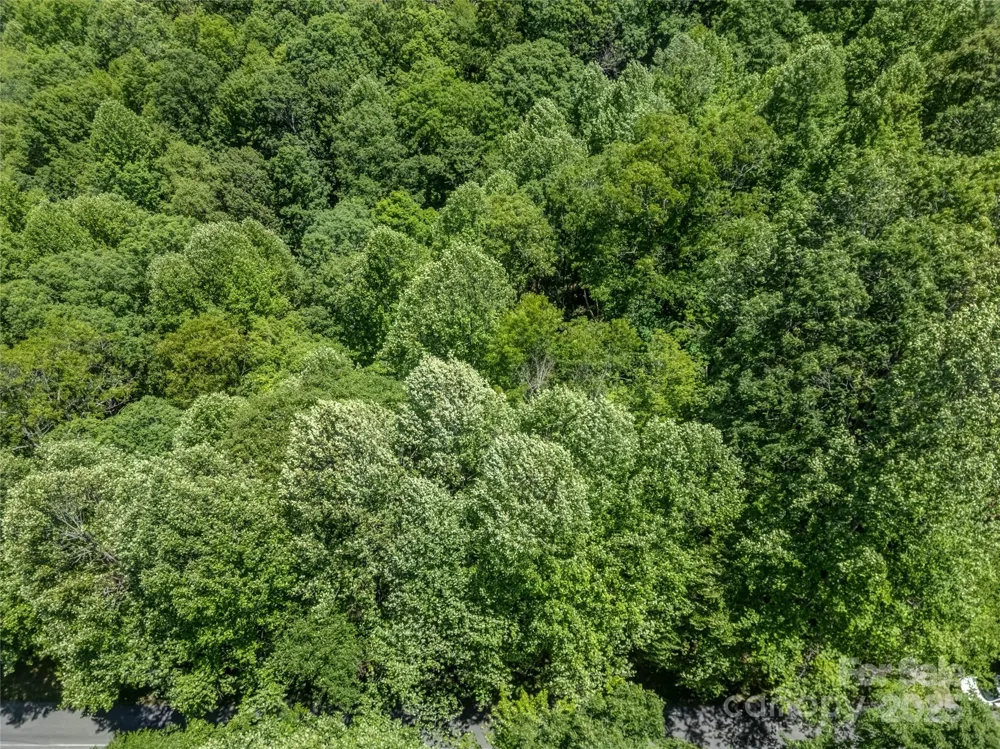 0000 Israel Road Brevard, NC 28712