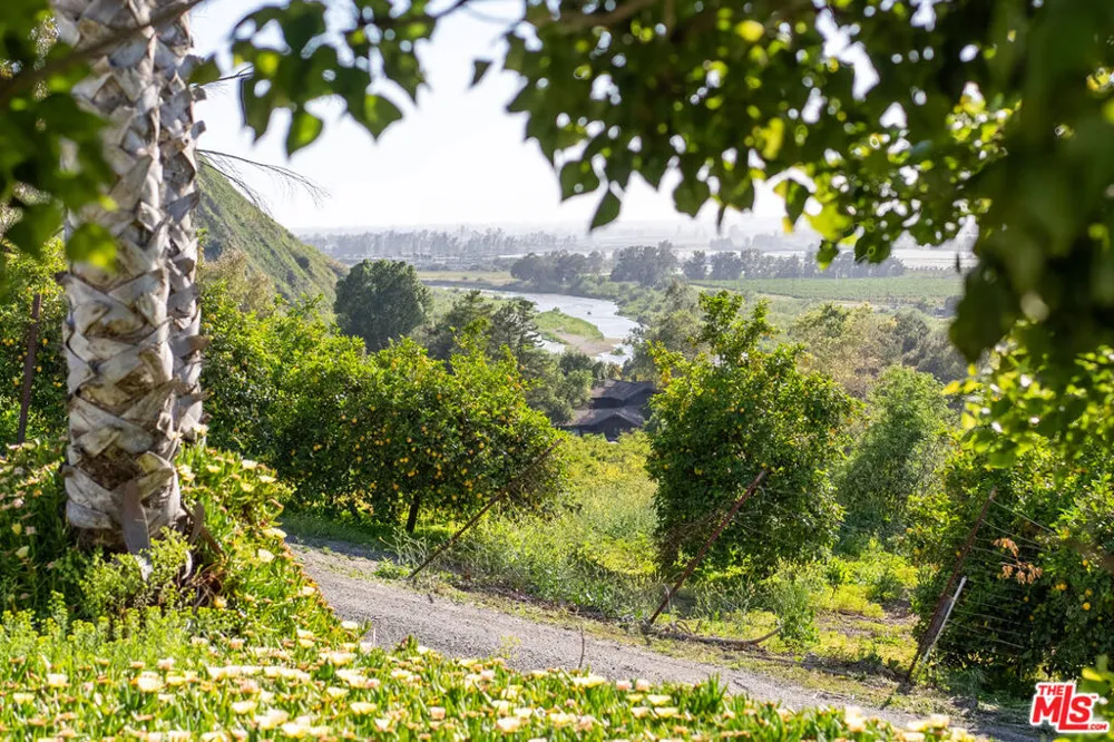 15454 S Mountain Road Santa Paula, CA 93060