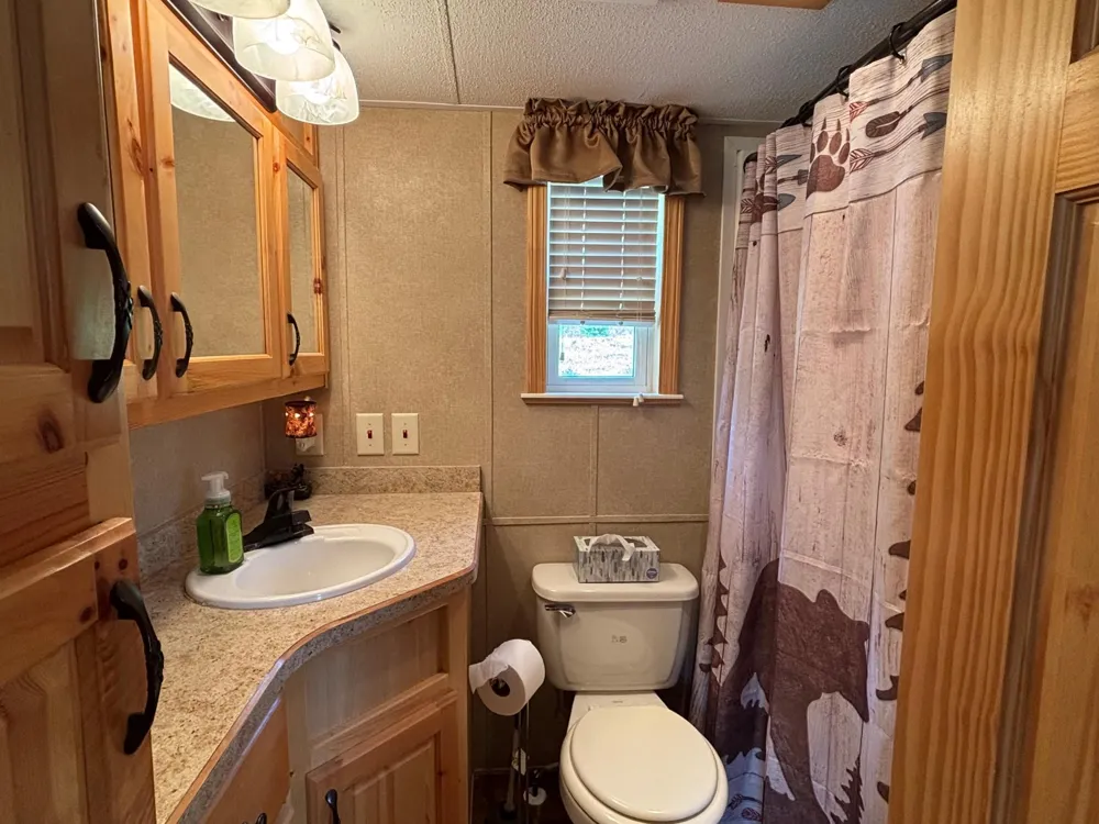 9442 Bear Ridge Drive Orr, MN 55771