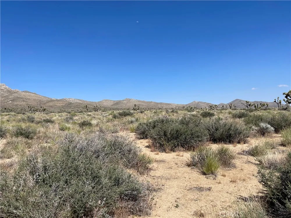 15310023 Kelso Valley Road Weldon, CA 93283