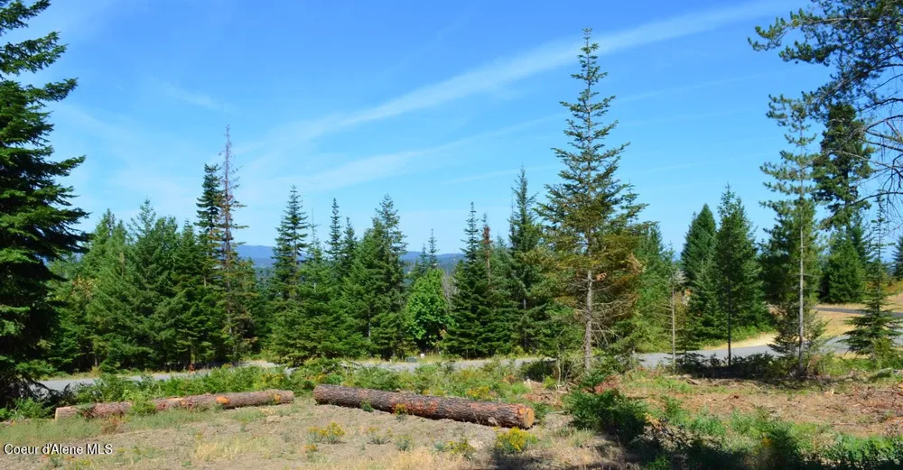 L2 B4 KULA ROAD Harrison, ID 83833