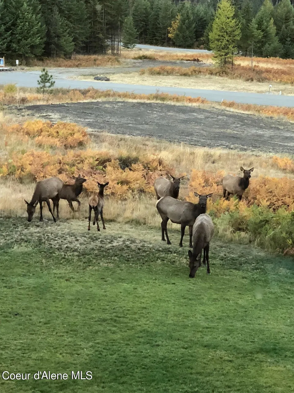 L2 B4 KULA ROAD Harrison, ID 83833