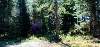 L2 B4 KULA ROAD Harrison, ID 83833
