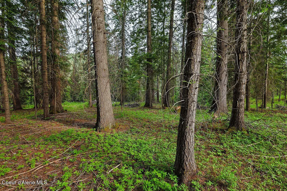164 W Fork Pine Creek Road Pinehurst, ID 83850