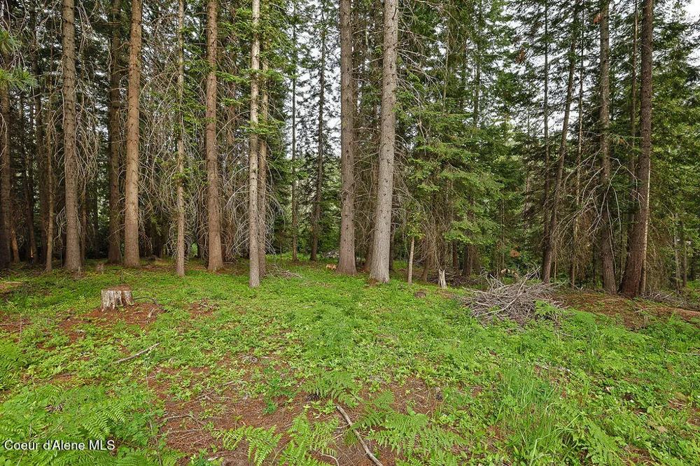 164 W Fork Pine Creek Road Pinehurst, ID 83850