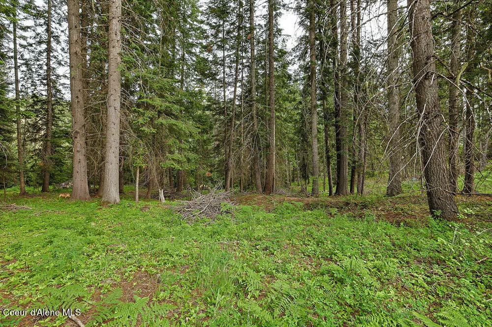 164 W Fork Pine Creek Road Pinehurst, ID 83850