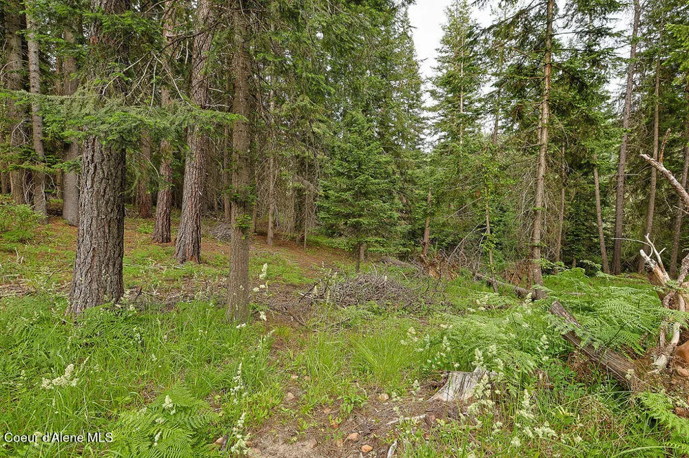 164 W Fork Pine Creek Road Pinehurst, ID 83850