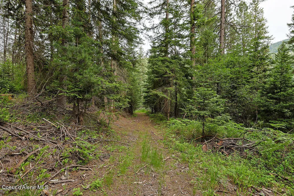 164 W Fork Pine Creek Road Pinehurst, ID 83850
