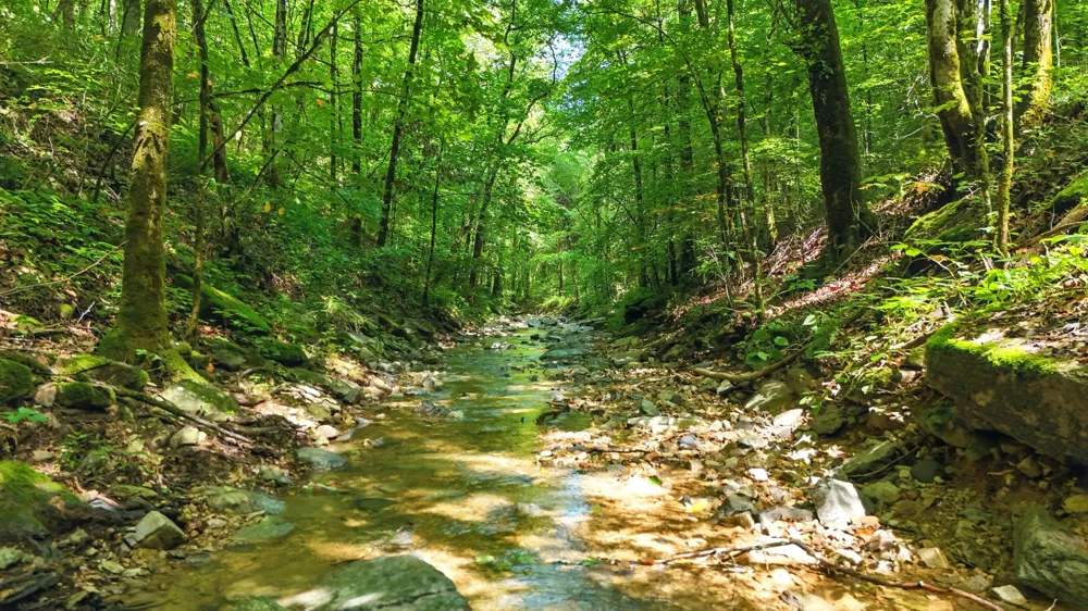 4006 Stones River Rd Woodbury, TN 37190