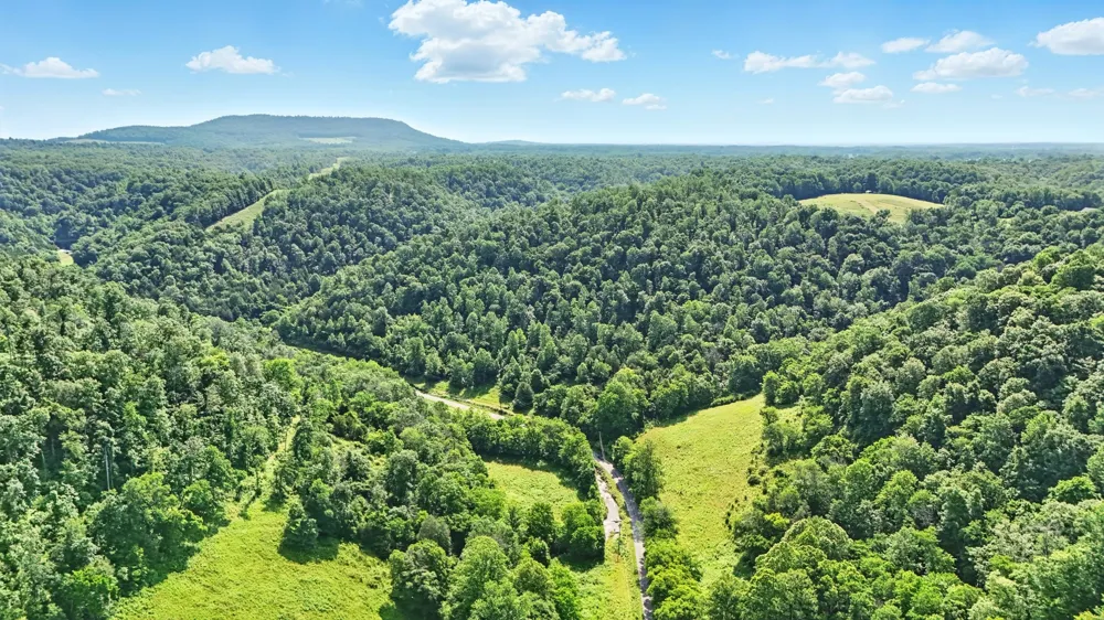4006 Stones River Rd Woodbury, TN 37190
