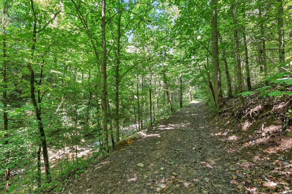 4006 Stones River Rd Woodbury, TN 37190