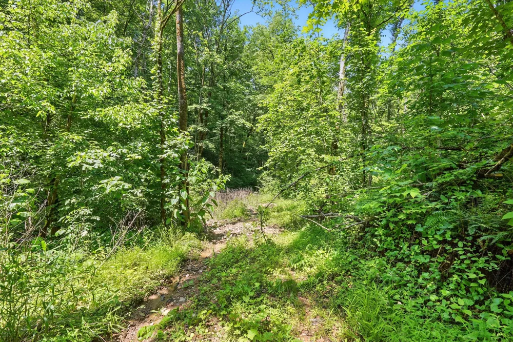 4006 Stones River Rd Woodbury, TN 37190