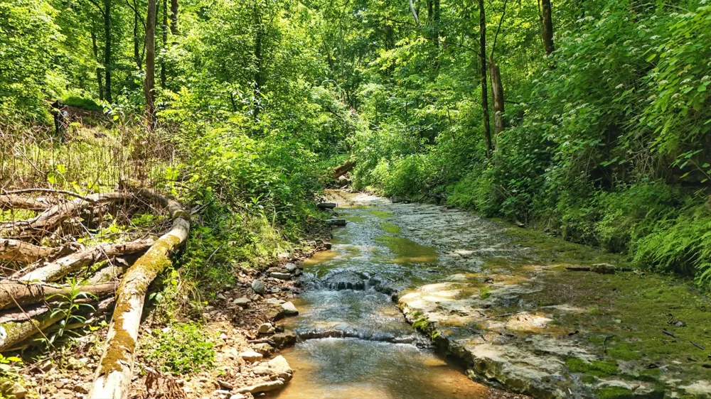 4006 Stones River Rd Woodbury, TN 37190