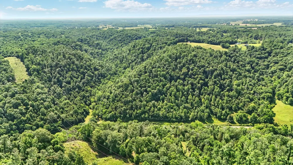 4006 Stones River Rd Woodbury, TN 37190