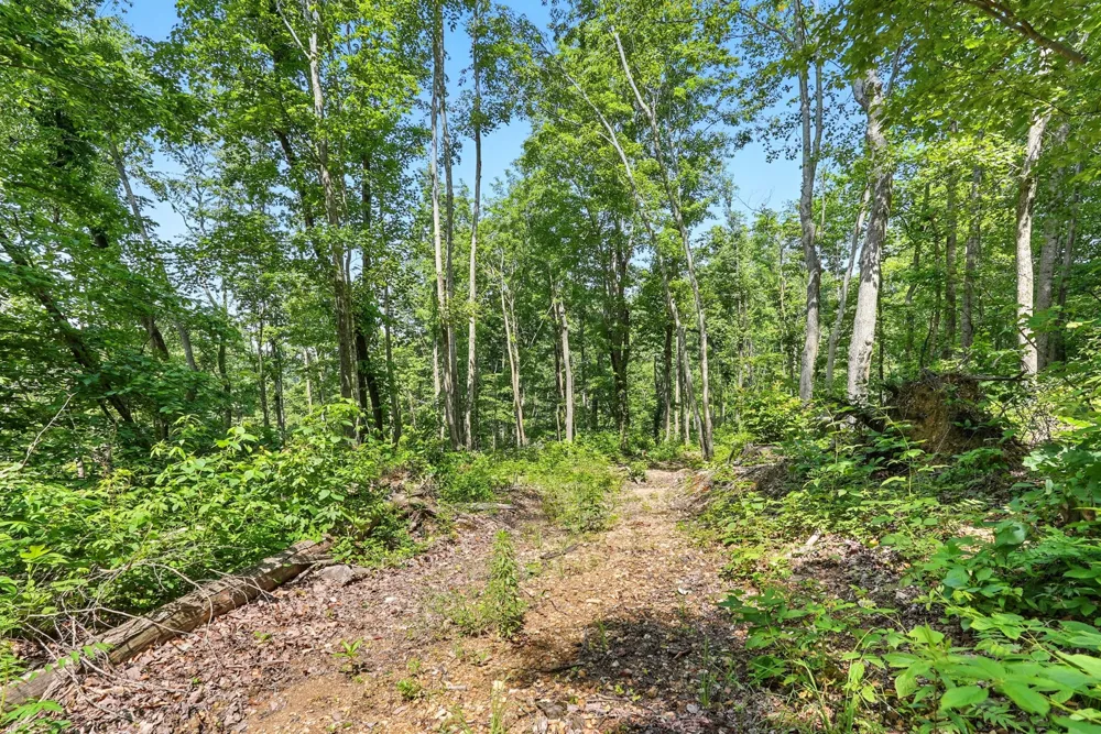 4006 Stones River Rd Woodbury, TN 37190