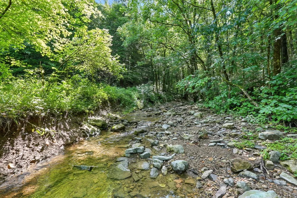 4006 Stones River Rd Woodbury, TN 37190