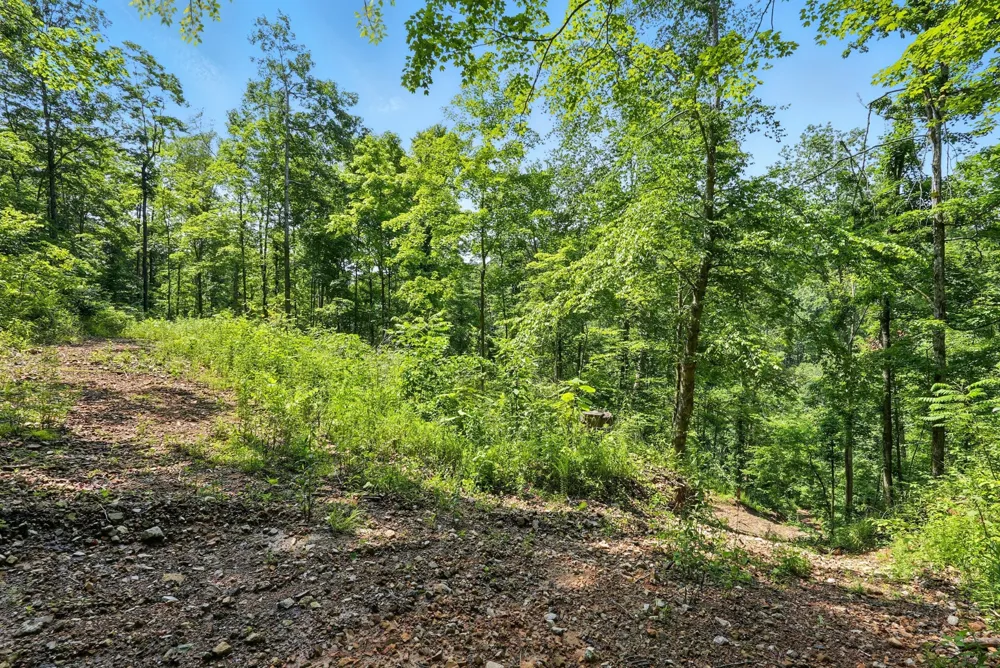 4006 Stones River Rd Woodbury, TN 37190