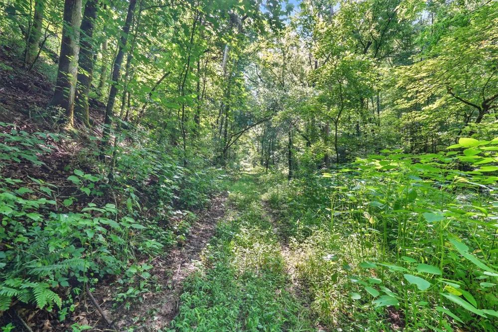 4006 Stones River Rd Woodbury, TN 37190