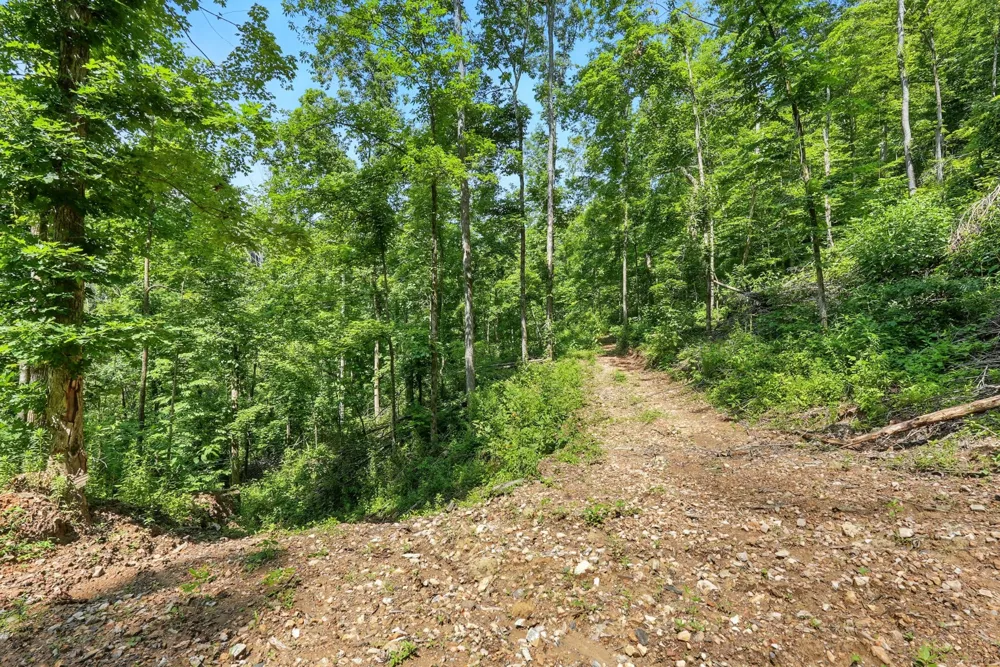 4006 Stones River Rd Woodbury, TN 37190