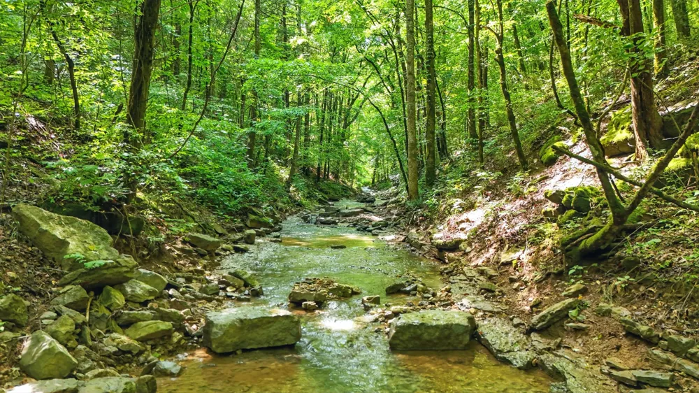 4006 Stones River Rd Woodbury, TN 37190