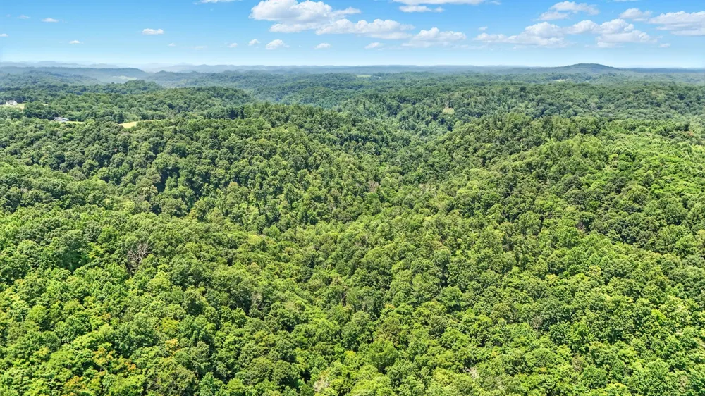 4006 Stones River Rd Woodbury, TN 37190