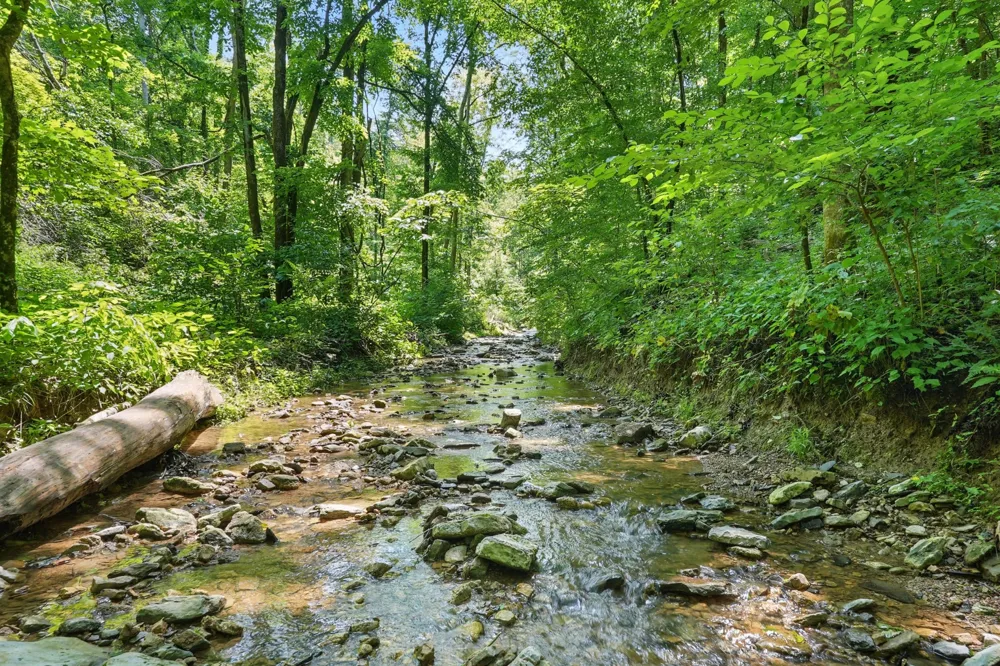 4006 Stones River Rd Woodbury, TN 37190